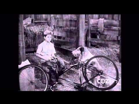 Lassie - Episodes 15 & 16 - "The Fighter" and "The Contest" (12/19 & 12/26/1954)