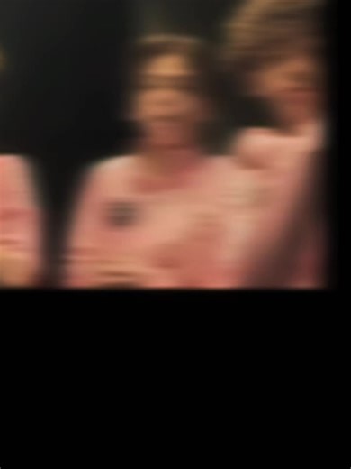 Exploring Miami with Mateoo and Luna