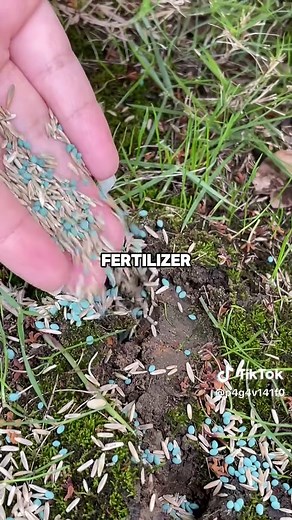 Why Your Lawn Requires Spring Aeration