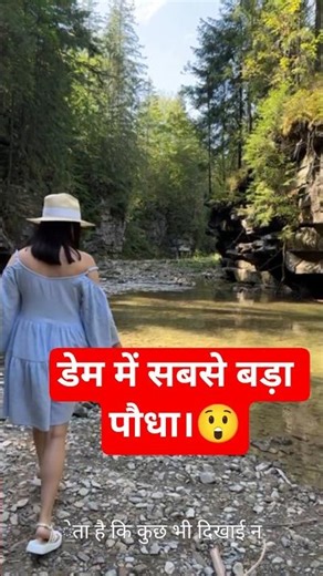 These Plants Can Destroy Dams 😨 #facts #ytshorts #shorts