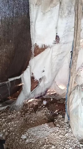 😭feed my family🙏😭 (@save.my.family5)’s video of protect your children or else