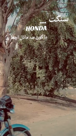 Comparing Honda Models: Which One is Best?