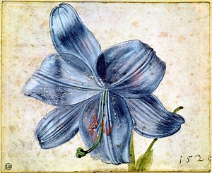 Curs de Desen: creion, cărbune, pastel - Fundaţia Calea Victoriei - Cursuri şi evenimente culturale