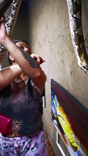 Vor dem Wasserwechsel im Teich, erstmal Schlangenbespaßung mit My Ling❤️🐍❤️@schlangenmama #myling #netzpython #retic #pythonreticulatus #schlange