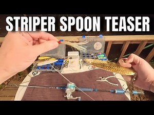 Add a Teaser to your Striper Rig! Jigging Spoon Striped Bass Teaser.