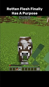 Minecraft Players Didn’t Know This Food Hack 😳⛏️