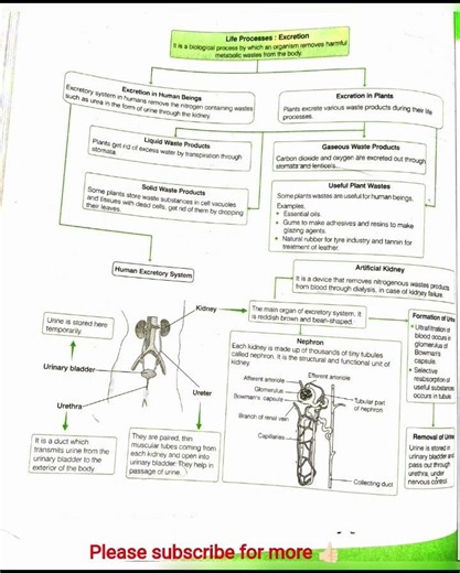#class 10 mind maps Bio All chapters #👍🏻 for CBSE quick rivision in one page 📄📃😯✌🏻📚#