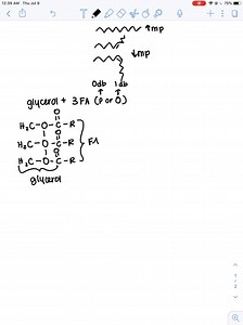 SOLVED: Melting Points of Lipids The melting points of a series of 18 -carbon fatty acids are: stearic acid, 69.6^∘ C ; oleic acid, 13.4^∘ C ; linoleic acid, -5^∘ C ; and linolenic acid, -11^∘ C (a) What structural aspect of these 18 -carbon fatty acids can be correlated with the melting point? (b) Draw all the possible triacylglycerols that can be constructed from glycerol, palmitic acid, and oleic acid. Rank them in order of increasing melting point. (c) Branched-chain fatty acids are found in