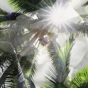 Create unforgettable memories with your family this spring. Whether you prefer private island retreats, urban getaways, or jungle and beachfront resorts, we've got you covered. | COMO Hotels and Resorts