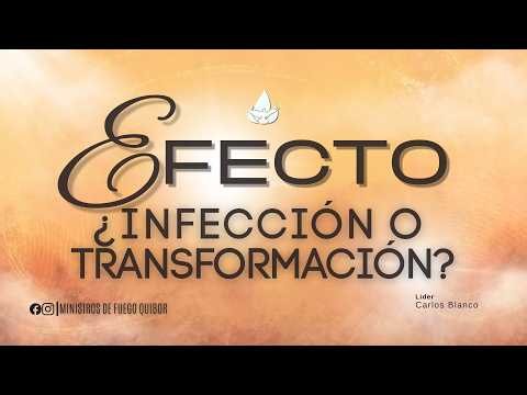 EFECTO: ¿INFECCIÓN O TRANSFORMACIÓN?