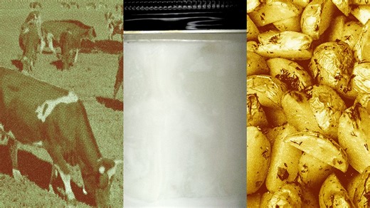 What Is Beef Tallow? And How to Cook With It