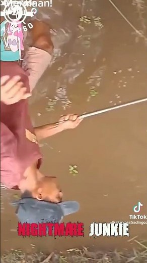 Beyond Belief A Baby Mermaid Found in India Scary Comp