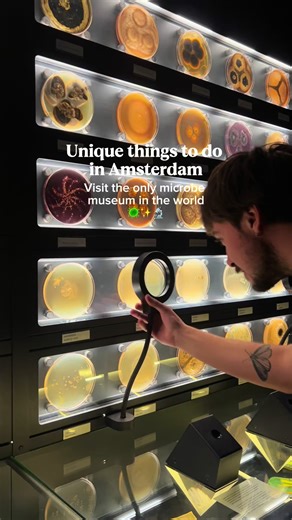 Discover Micropia: Amsterdam's Unique Microbe Museum