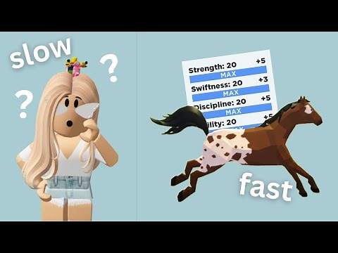 How To TRAIN Your Horse *quick and easy* | Horse Valley