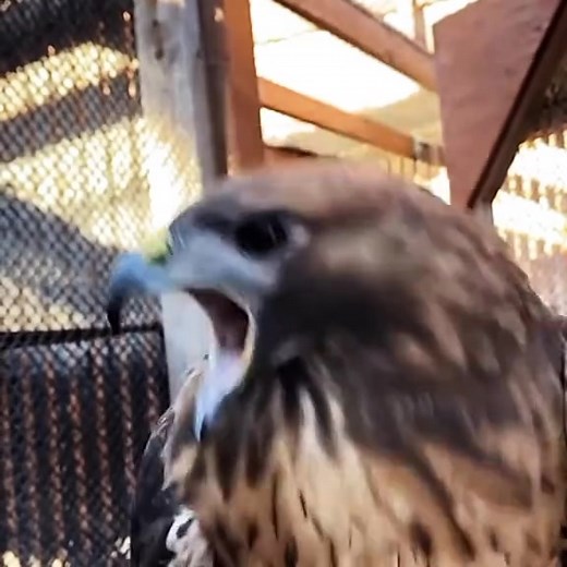 386K views · 10K reactions | @រំលេច 略☠️☠️ # # | Tik Tok | Facebook