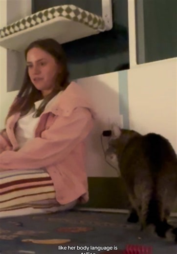 Spicy Foster Cat's Overwhelmed Vet Visit