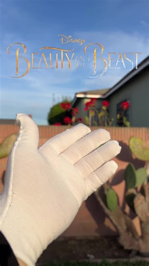 Belle fans I made this for you 🥹❤️. #disneyprincess #princess #bracelet #belle #beautyandthebeast