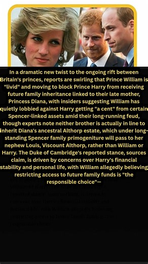 William SHUTS DOWN Harry’s Inheritance — “Not One Cent” From Princess Diana’s Estate