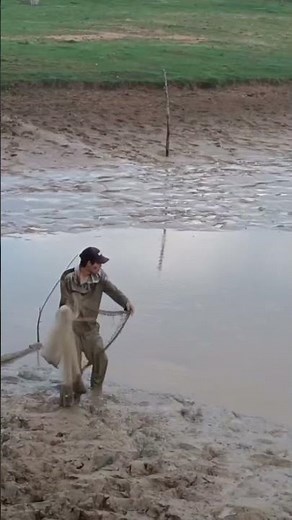 iniciando el hobbie de la pesca con todas sus tecnicas #viralvideo #viral #pesca #acuarios