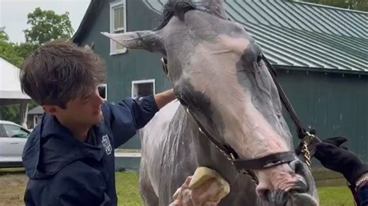 Sandman的洗澡时间，但嘴皮子不安分