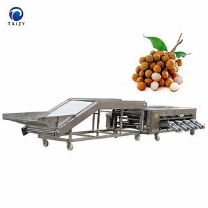 [Hot Item] High Quality Onion Sorting Machine Round Shape Fruit Fresh Vegetable Sorting Machine