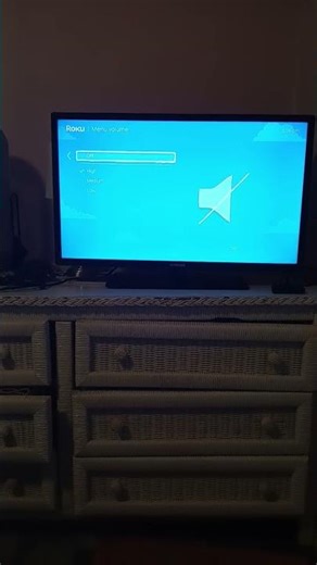 roku settings menu volume audio mode system language