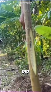 57K views · 406 reactions | Brilliant #story #storytime | polite J | Facebook