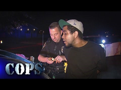 Baby on the Way, Show 3412, Cops TV Show