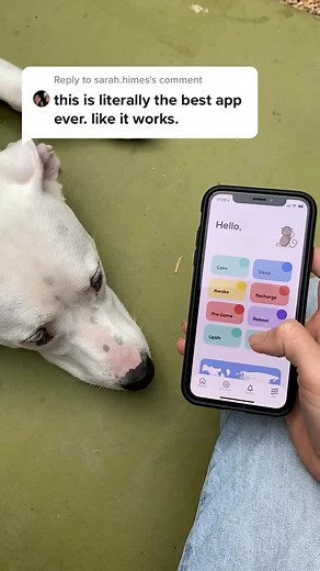 Breath Work App for Lung Health
