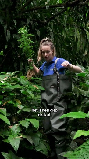 Feeding leafcutter ants 🐜🌿