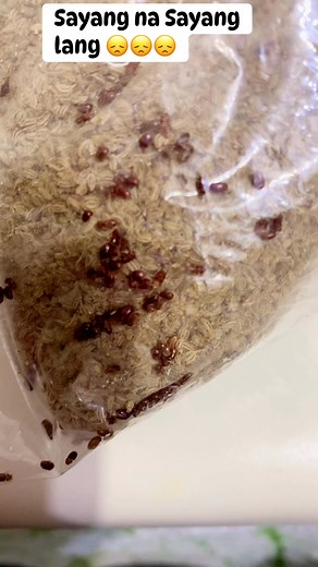 #justsaying #sad #forgetful lead to wastefulness 😌😌😌 | Manang Bee Dai