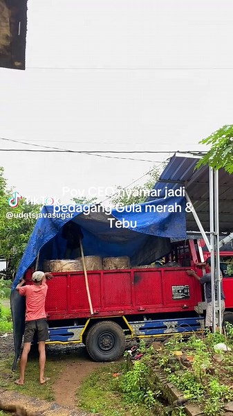 Udgts (@udgtsjavasugar)’s videos with suara asli - raja satrio