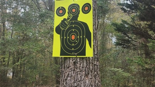 Watch Paper Target with Instant Hit Marking on Amazon Live