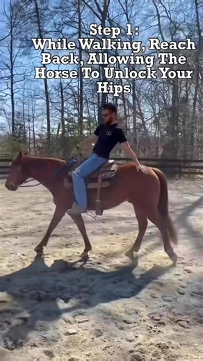 A lot of comments said posting is “just for English riders” or that “real cowboys don’t post.” If that’s the case, and you are going to sit every trot in your western saddle, then at least do it right. Because an unbalanced seated trot creates just as many problems as bouncing through a posting trot. In this video I’ll give you 3 steps to make your seated trot smoother and more effective, so you are helping your horse instead of hindering it. And if you want to take it further, I put together a 