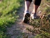 Hatboro Joins State Walking Program