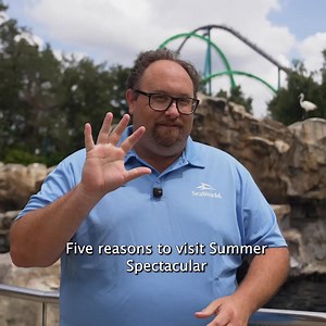 This is your sign to go to SeaWorld's Summer Spectacular | SeaWorld Orlando