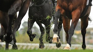 Why Do Racehorses Change Leads? Tips On Horse Leads.