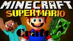 Super Mario Craft Minecraft Server