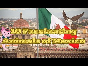 10 Incredible Animals That Call Mexico Home