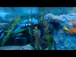 Finding Nemo Submarine Voyage | The Ride | 10/05/22 | Disneyland