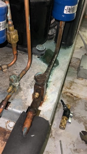 19K views · 297 reactions | Walk-in cooler xì ga | Khoa A Tran | Facebook