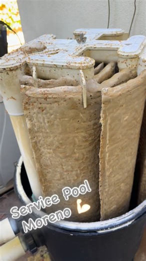 Service Pool Moreno. filter cleaning. Santa Clarita California | Rene Moreno Mendez