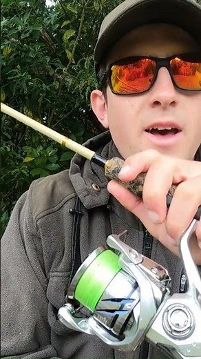 Shimano Stradic Review