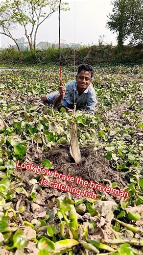 Look how brave the brave man is catching fish. #vrial #fishing #handfish