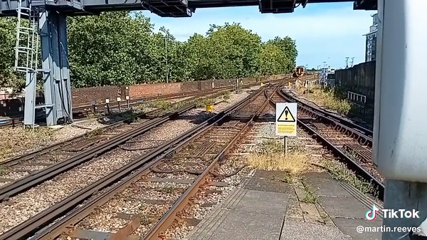 Martin Reeves (@martin.reeves)’s videos with original sound - Martin Reeves