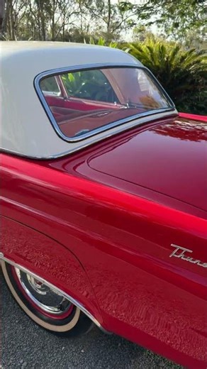 For sale Ford Thunderbird 1955 $69,900 inch gst