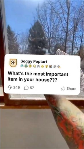 Official Reddit Reddit.com | what’s the most important thing in your house???