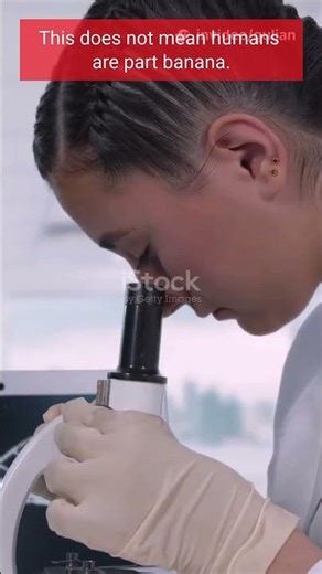 Humans Share DNA With Bananas 🍌