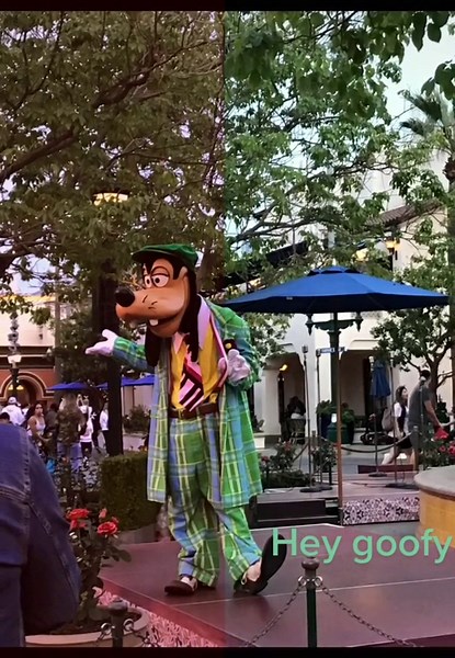 Hello there goofy 😜
