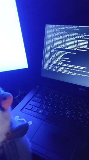 Linux Penguin Updates Its System but... #linux #shorts #penguin